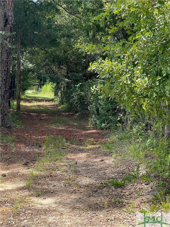 Jay Rimes Road to the property