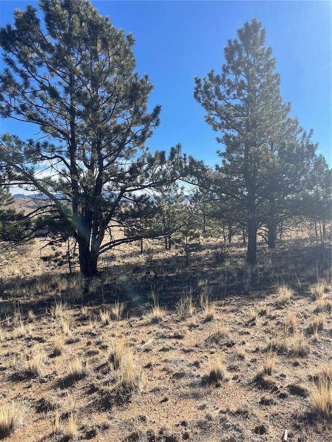 00 Oak St, Hartsel, CO 80449 - photo 6