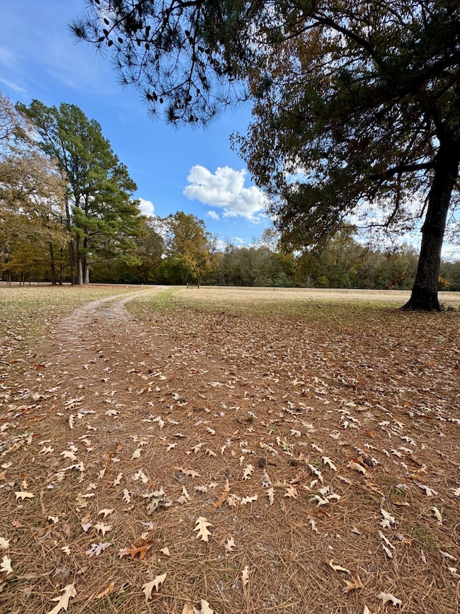 TBD Pleasant Hill Rd, Haworth, OK 74740 - photo 5