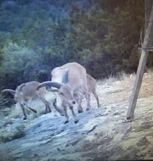 unlisted-address, Rocksprings, TX 78880 - photo 3