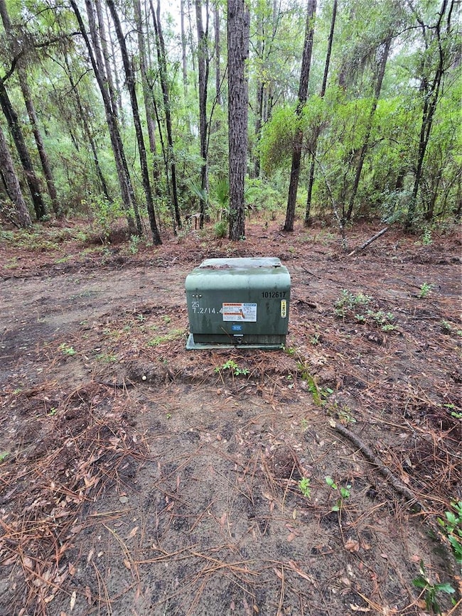 Lot 4 SW 194th Ave, Dunnellon, FL 34432 - photo 6