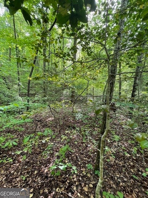 0 Mccormick Dr unit 10509566, Dawsonville, GA 30534 - photo 6