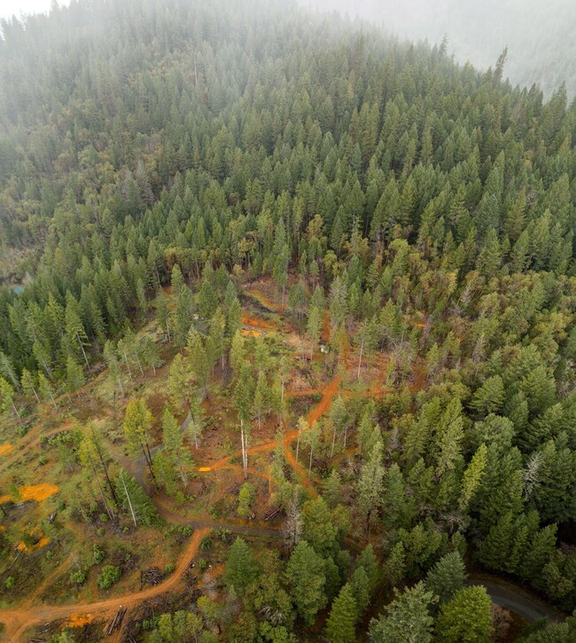 200 Hog Creek Rd, Merlin, OR 97532 - photo 7