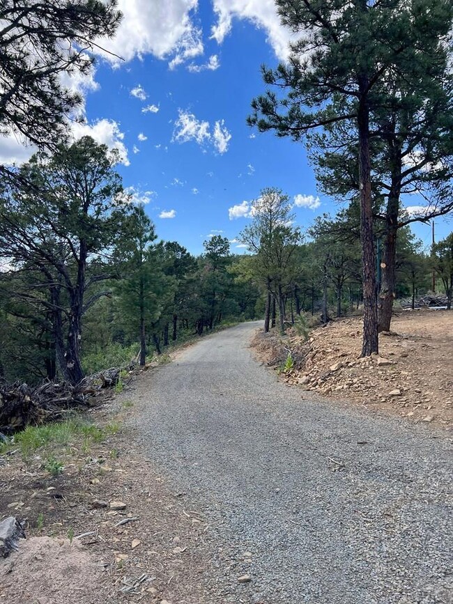 33020 Meadow Ct, Trinidad, CO 81082 - photo 7