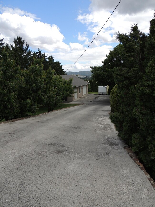 Private tree lined drive