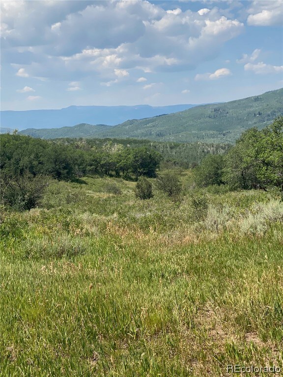 View from Lot 8