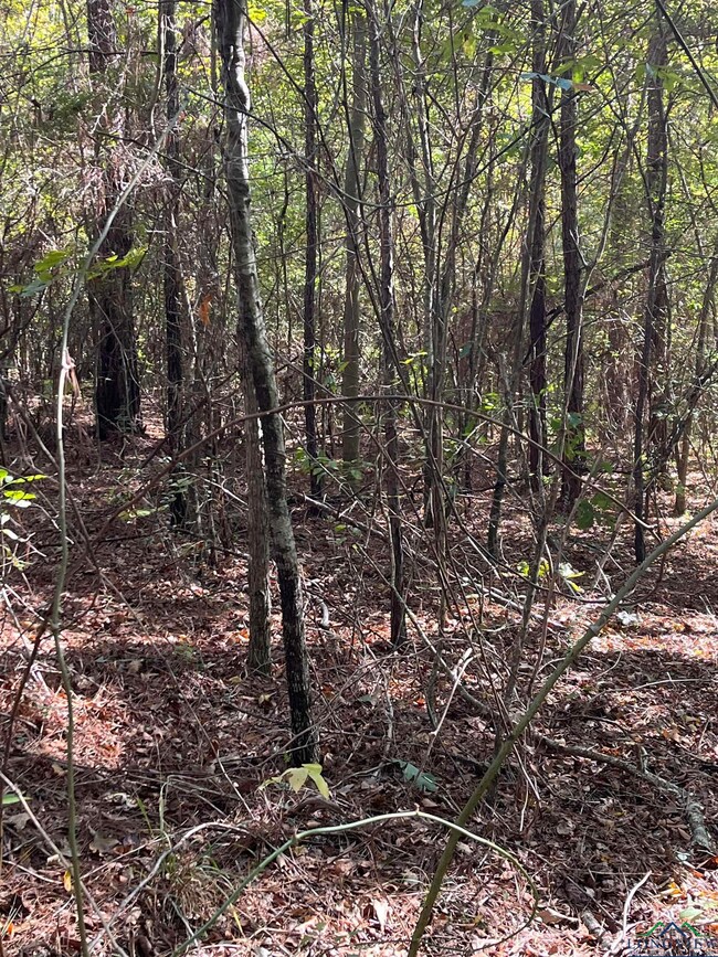 209 210 Cherokee Trail, Jefferson, TX 75657 - photo 3