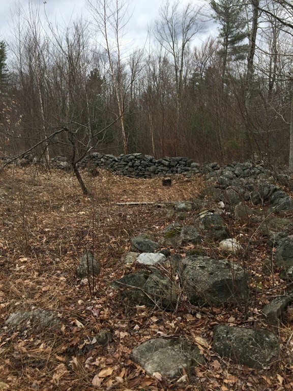 0 S Beech Plain Rd unit 72607085, Sandisfield, MA 01255 - photo 2