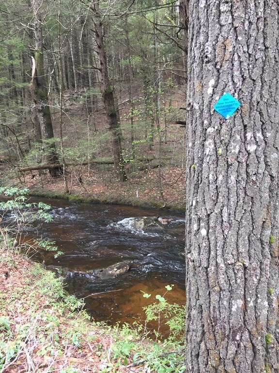 55 Kentfield Rd, Wendell, MA 01380 - photo 3