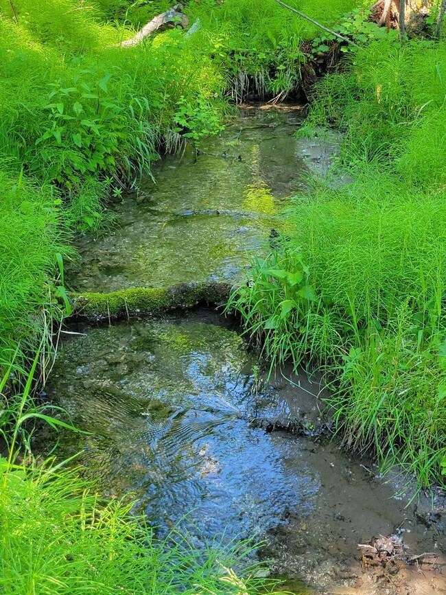 Creek