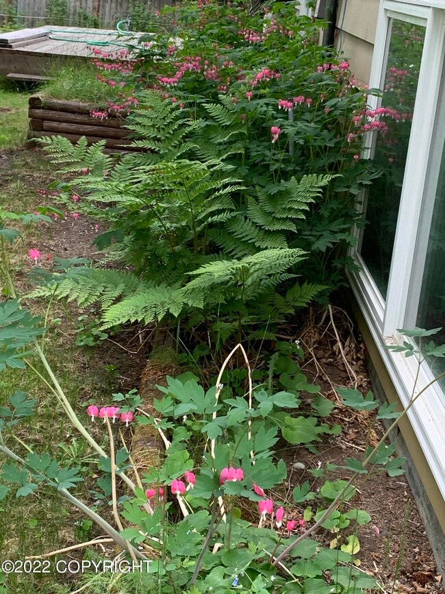 2510 Kilkenny Cir, Anchorage, AK 99504 - photo 6