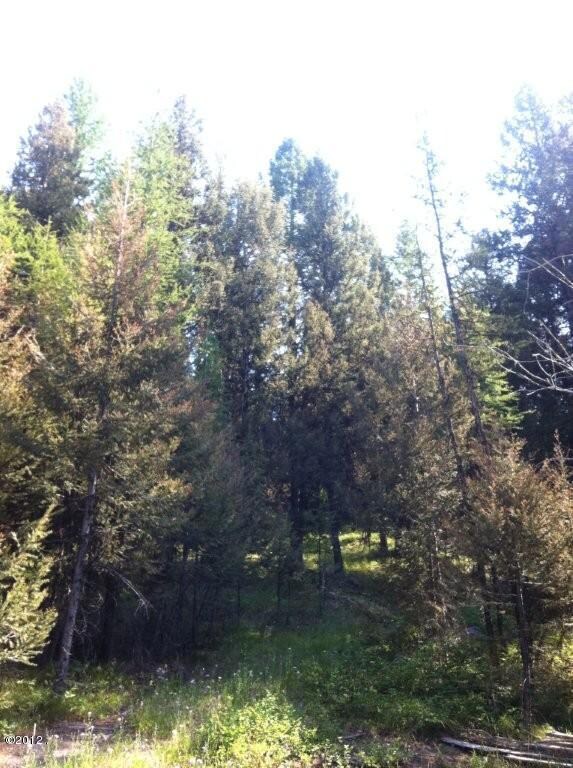 1431 Elkhorn Rd, Seeley Lake, MT 59868 - photo 6