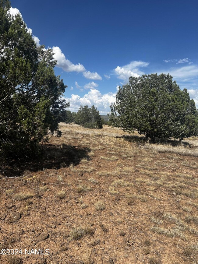 3101 W Yukon Dr unit 671, Ash Fork, AZ 86320 - photo 4