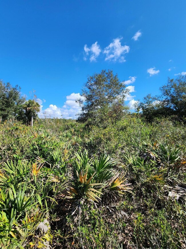 17707 NW 274th St, Okeechobee, FL 34972 - photo 5