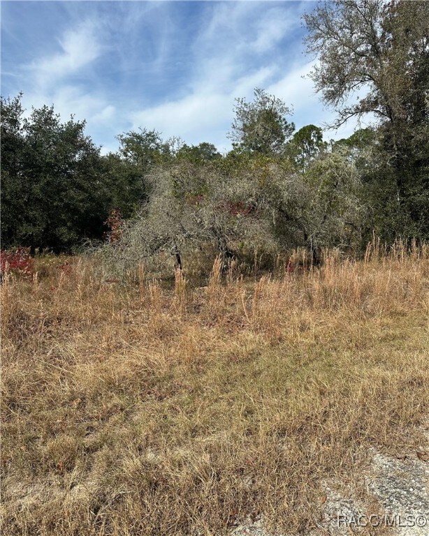 Lot 26 SE 133rd Ave, Rainbow Lakes Estates, FL 34431 - photo 5