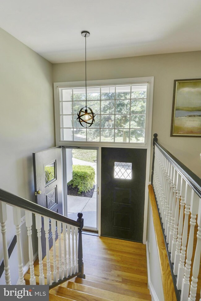 2443 Riviera Dr, Vienna, VA 22181 - photo 3