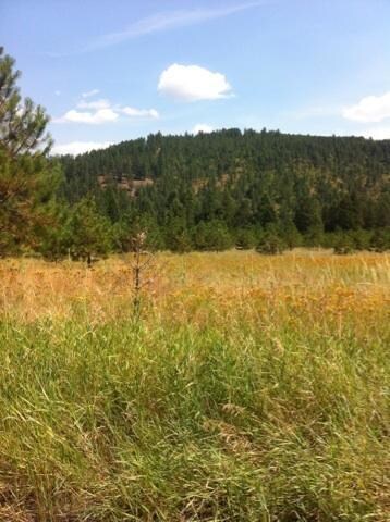 View 5