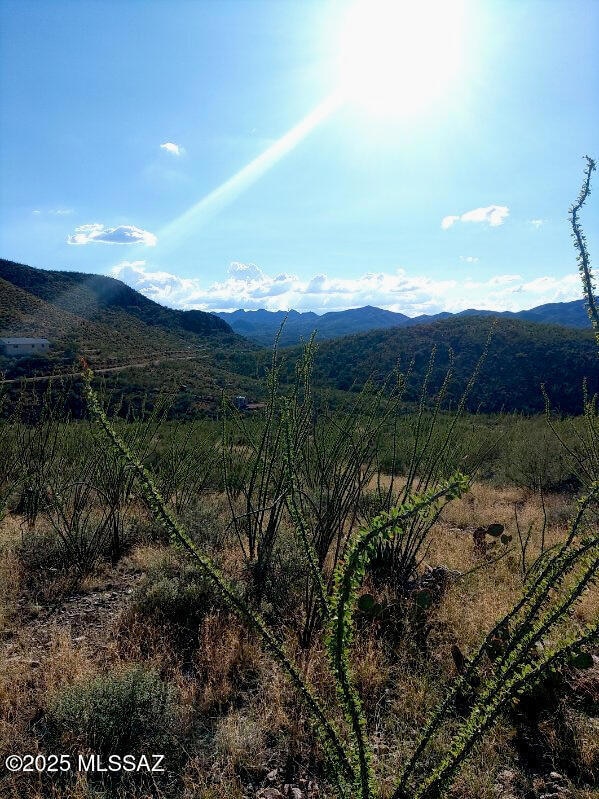 16231 E Hillton Ranch Rd, Vail, AZ 85641 - photo 2