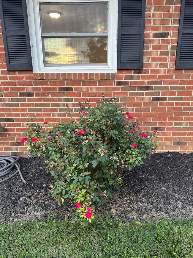 281 Elkin Cir, Waynesboro, VA 22980 - photo 3