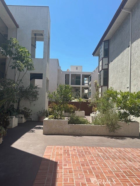 lots of outdoor space