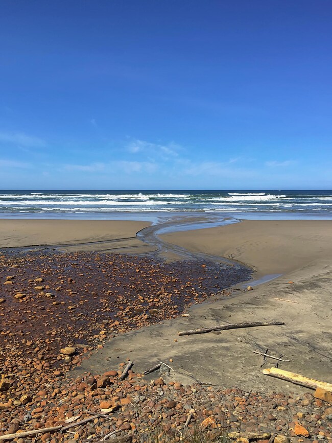 Beach at Surfland
