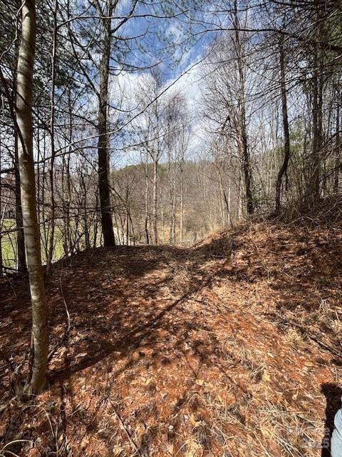 25 Green Meadow Ln unit 25, Mars Hill, NC 28754 - photo 3