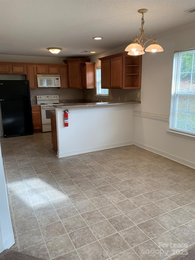 205 Clusters Cir, Mooresville, NC 28117 - photo 4