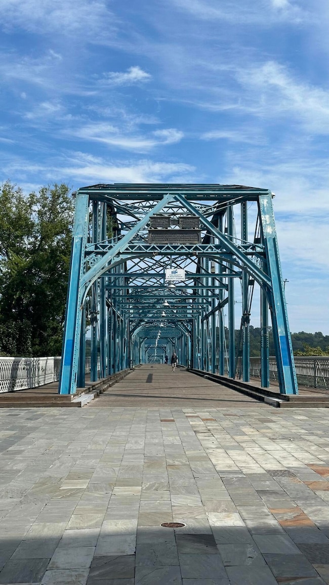 Walnut St Brige