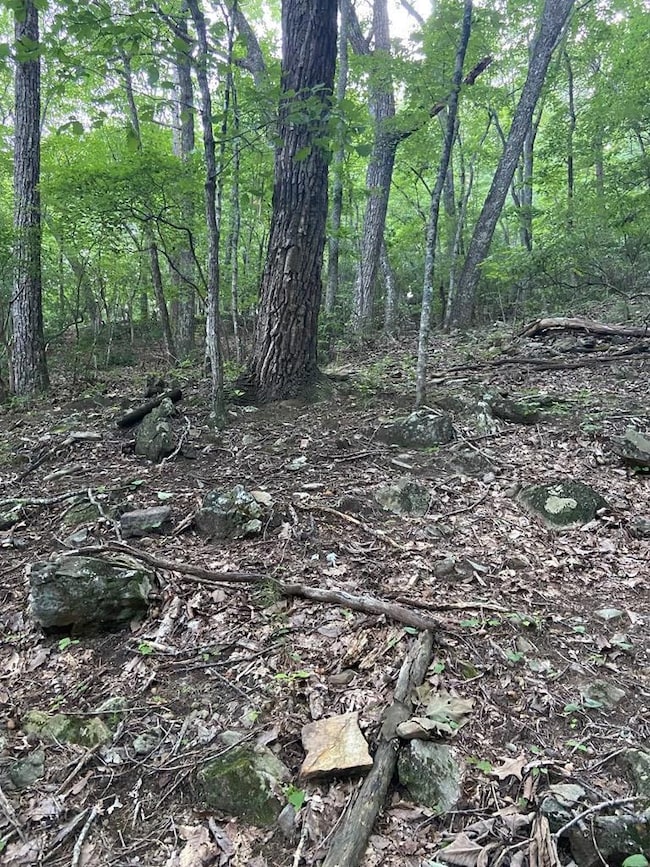 Lot 58 Cherokee Cir, Ellijay, GA 30536 - photo 4