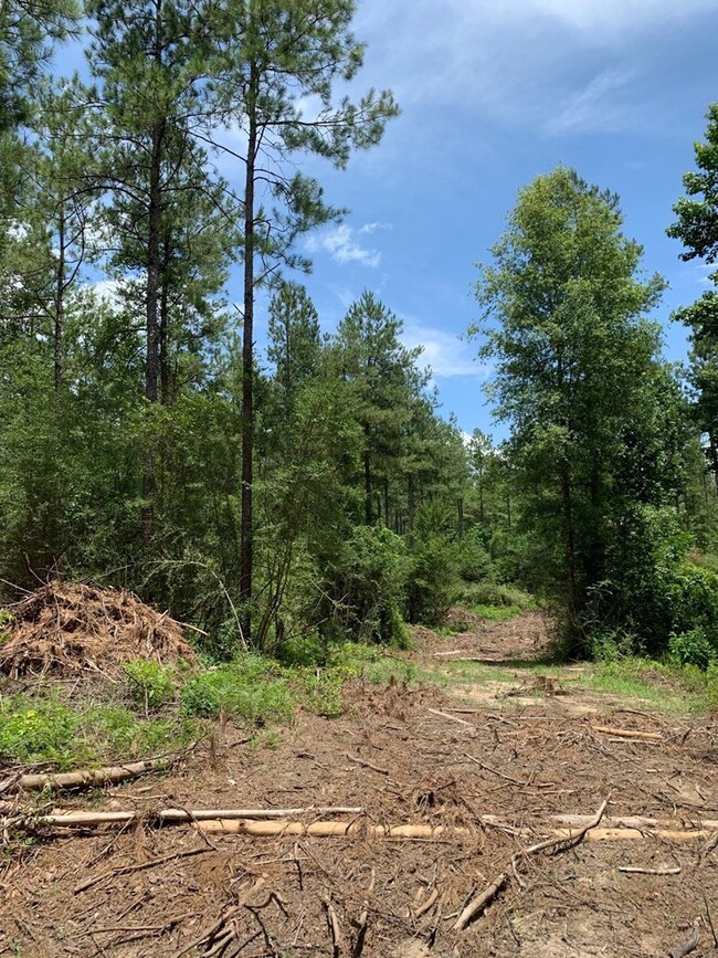 000 Dinan Salem Rd, Tylertown, MS 39667 - photo 5