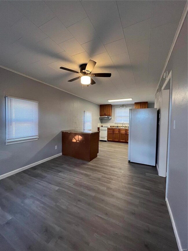 8 N Edison St, Freeburg, IL 62243 - photo 5