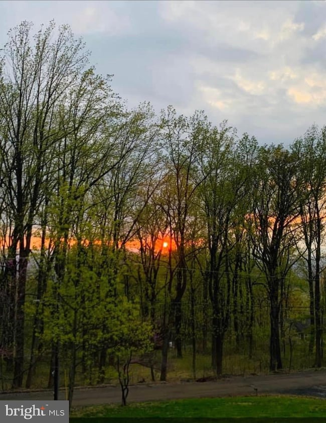 712 Reid Dr, Front Royal, VA 22630 - photo 6