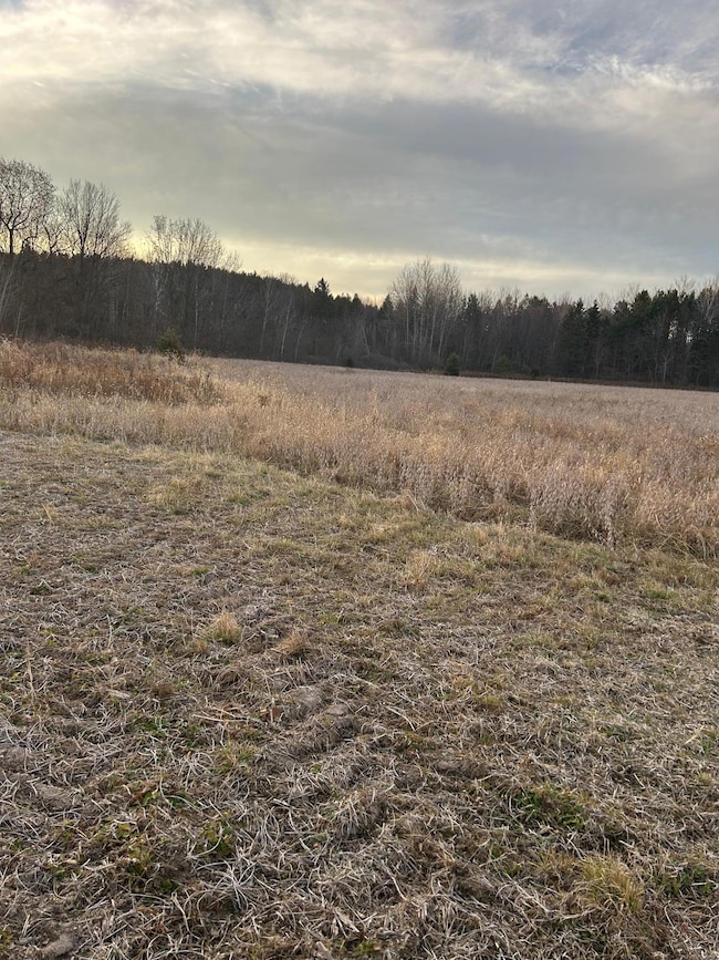 Lot 1 Pierce County Road B, Woodville, WI 54028 - photo 5