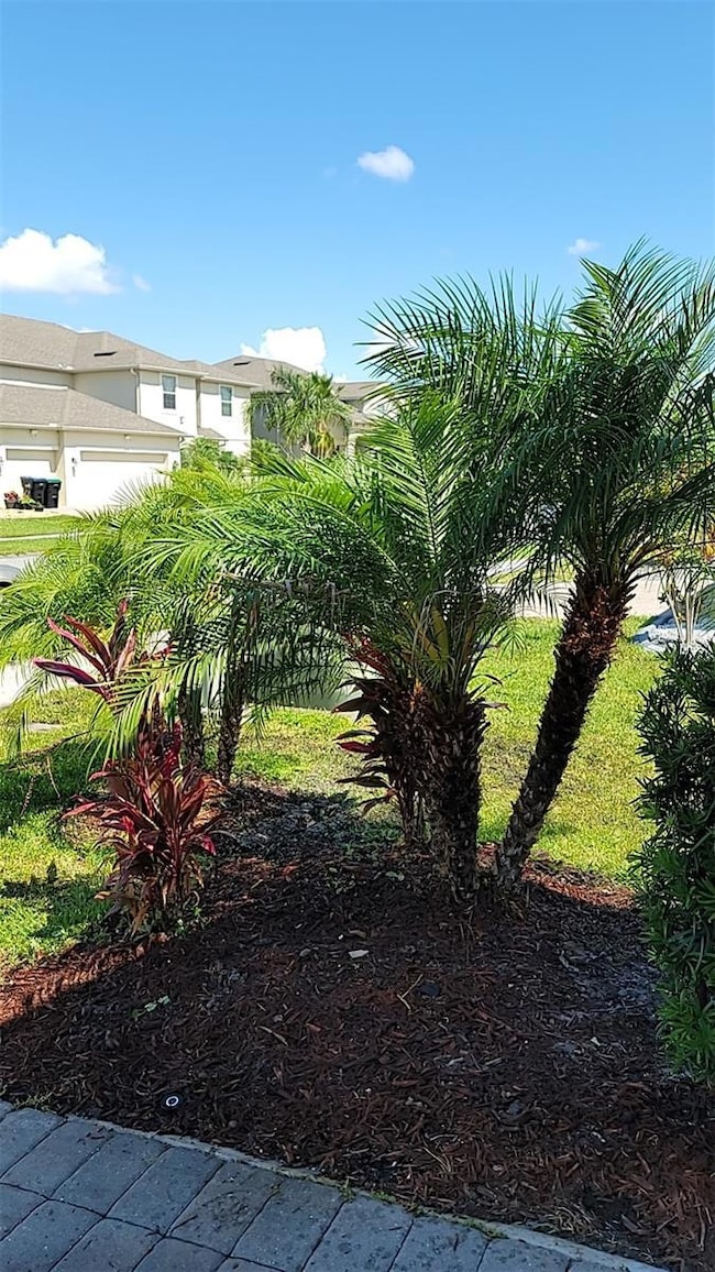 4025 Scarlet Branch Rd, Orlando, FL 32824 - photo 7