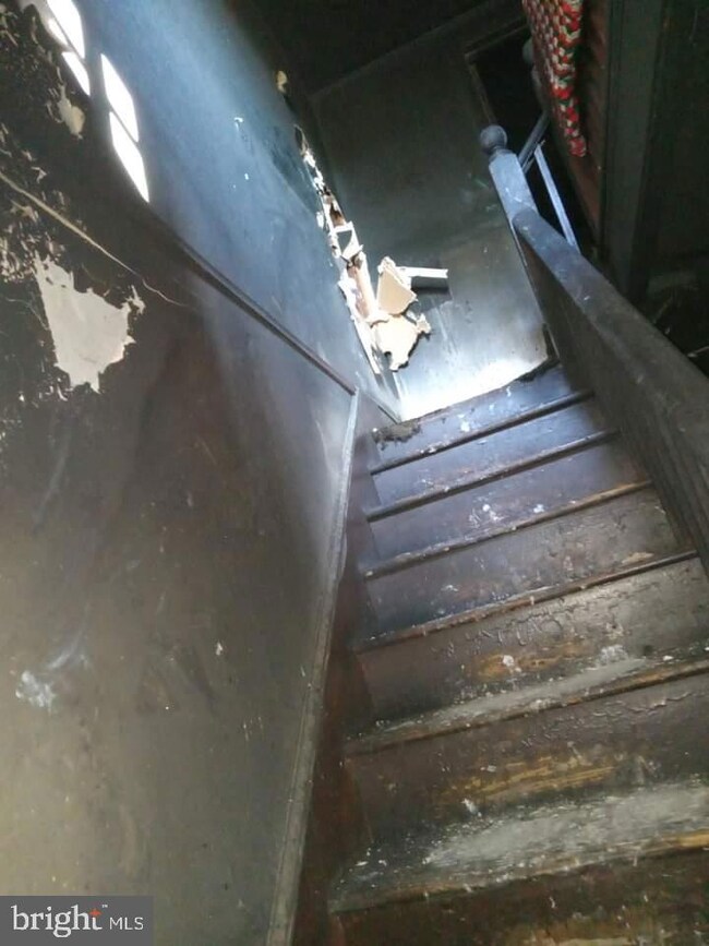 1303 Warren Ave, Front Royal, VA 22630 - photo 6