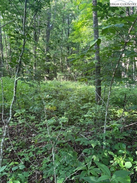 Lot 10 Billy Bob Ln, Creston, NC 28615 - photo 4