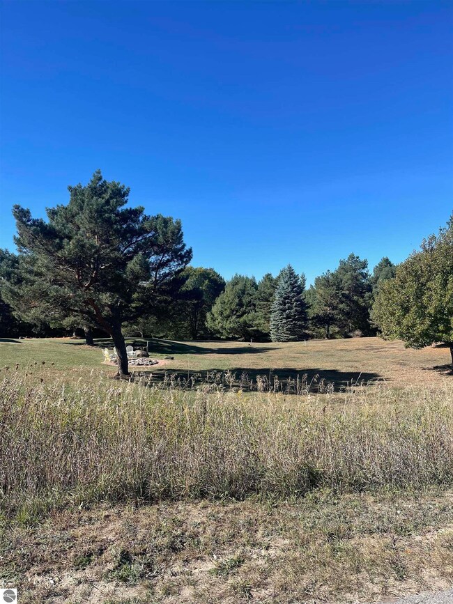 000 Paradise Hills Dr unit 1, Central Lake Township, MI 49622 - photo 2