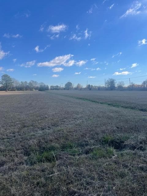 0 Hwy 6, Tupelo, MI 38801 - photo 4