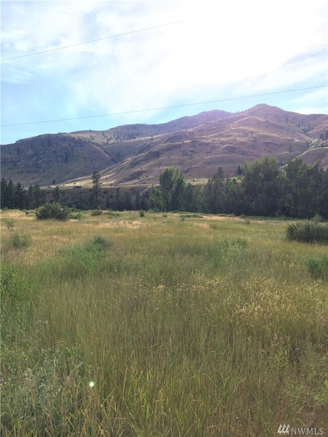 0 Lot 8 Burma Rd unit 1153300, Methow, WA 98834 - photo 4