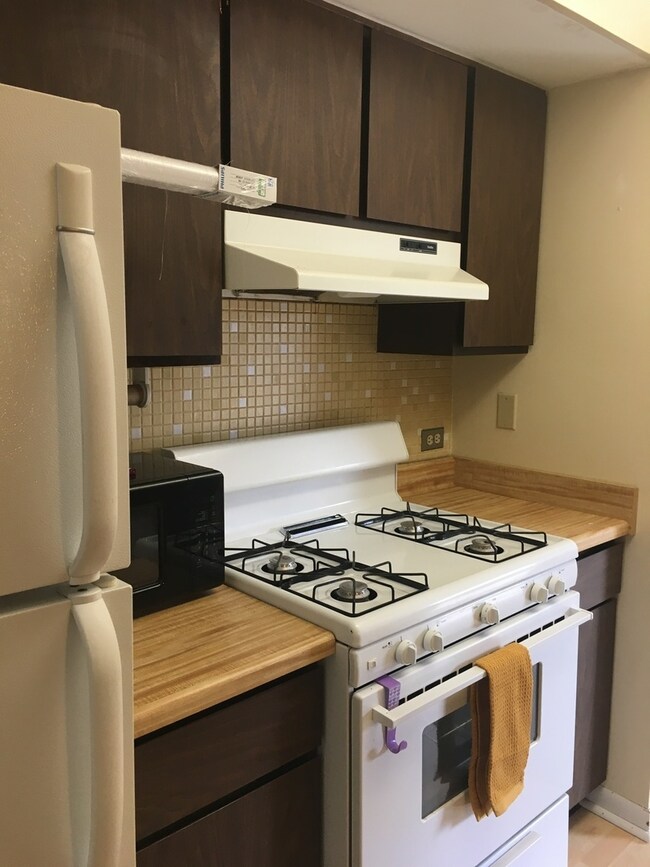 1611 Ashland Ave unit 303, Des Plaines, IL 60016 - photo 6