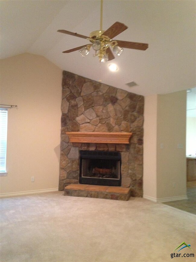 10550 County Road 210, Tyler, TX 75707 - photo 3