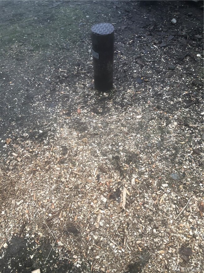 0 364th St S unit 1712996, Roy, WA 98580 - photo 6