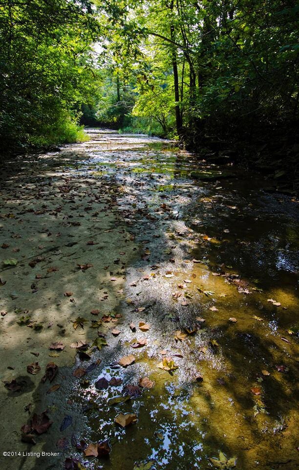 Creek running through development.