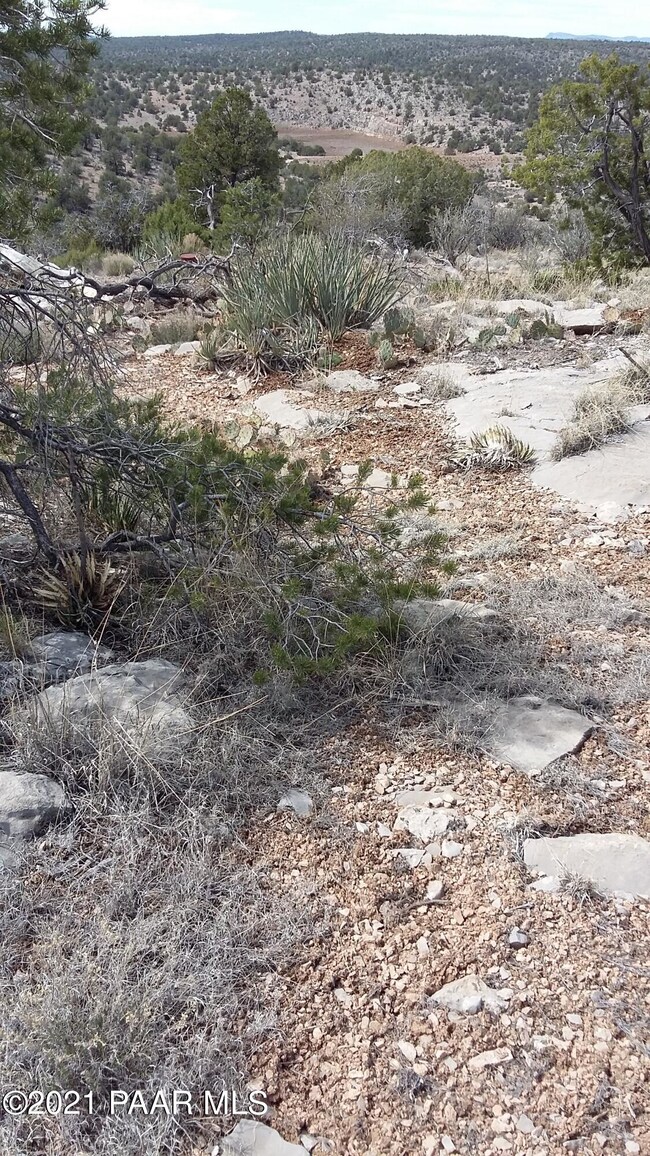 Lot 646 Denny 5 Rd Rd, Seligman, AZ 86337 - photo 6