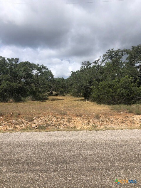 112 Peter Kleid Loop Dr unit 3, Blanco, TX 78606 - photo 2