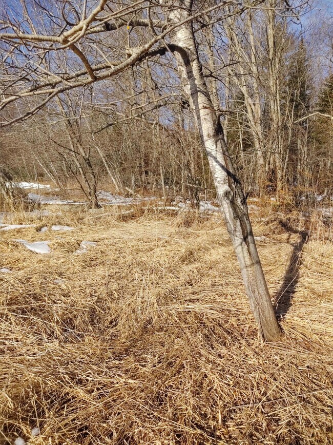 IMG_20200205_095548208_HDR