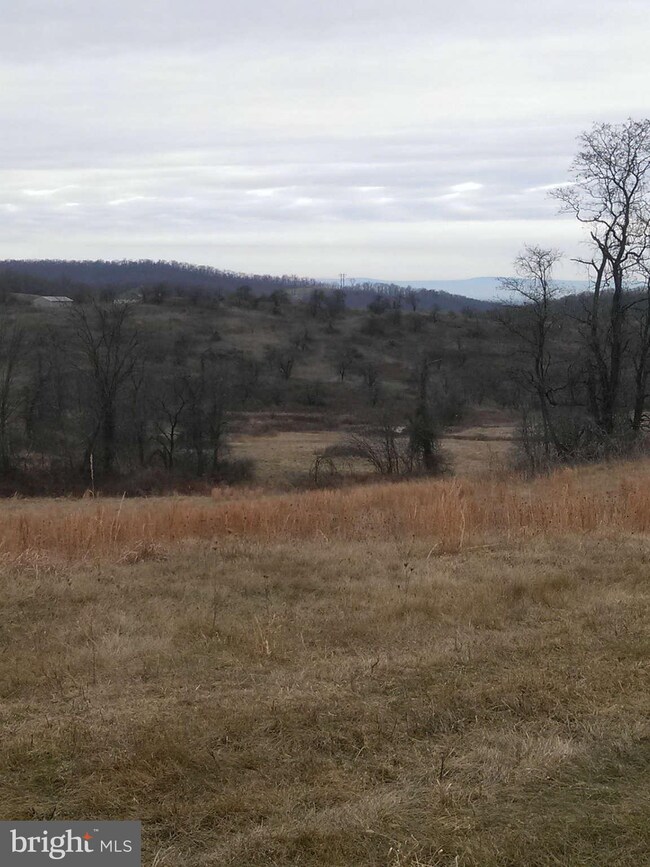 0 Pickrell Dr unit 1003346412, Front Royal, VA 22630 - photo 6