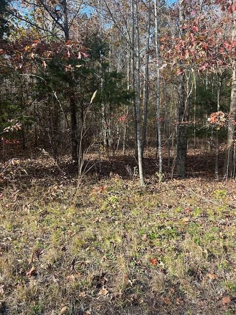 0 Oak Creek Dr, Big Sandy, TN 38221 - photo 7