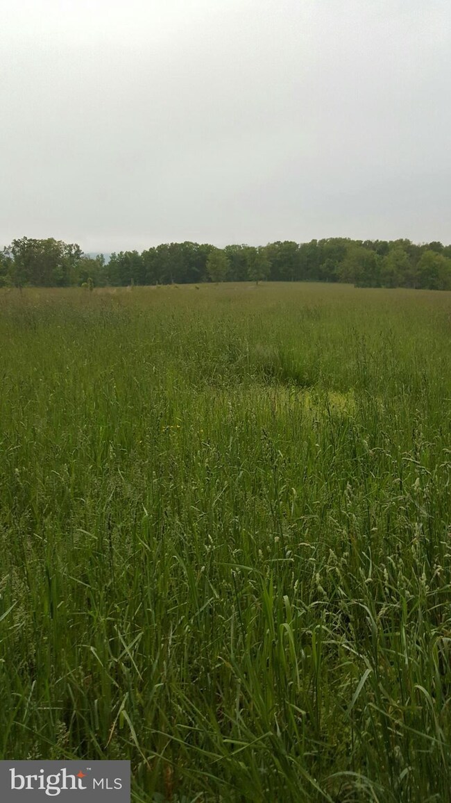 unlisted-address, Edinburg, VA 22824 - photo 6