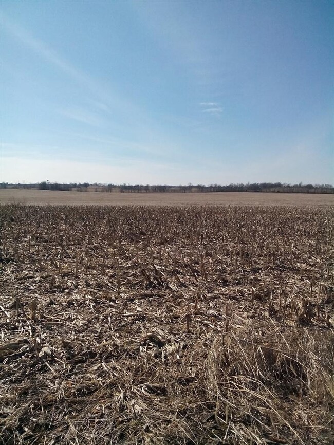 532 Bailey Pike, Harrodsburg, KY 40330 - photo 5